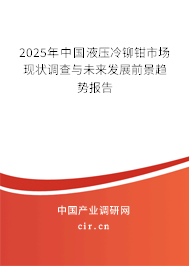 2025年中國液壓冷鉚鉗市場現狀調查與未來發展前景趨勢報告