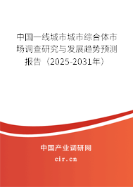 中國一線城市城市綜合體市場調(diào)查研究與發(fā)展趨勢預(yù)測報告（2025-2031年）