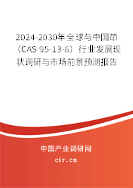 2024-2030年全球與中國茚（CAS 95-13-6）行業發展現狀調研與市場前景預測報告