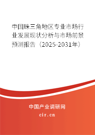 中國珠三角地區(qū)專業(yè)市場行業(yè)發(fā)展現(xiàn)狀分析與市場前景預測報告（2025-2031年）