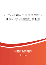 2025-2031年中國綜合管廊行業調研與行業前景分析報告