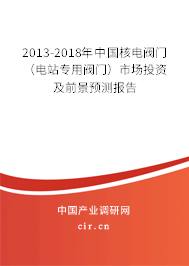 2013-2018年中國核電閥門（電站專用閥門）市場投資及前景預測報告