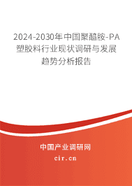 2023-2029年中國聚醯胺-PA塑膠料行業現狀調研與發展趨勢分析報告