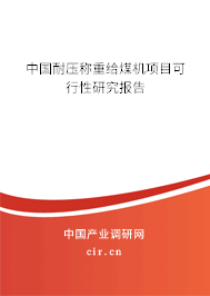 中國耐壓稱重給煤機項目可行性研究報告