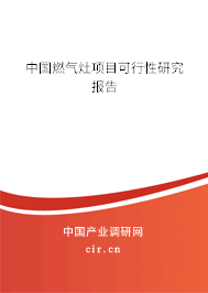中國燃氣灶項目可行性研究報告
