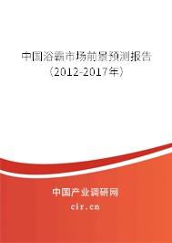 中國浴霸市場前景預測報告（2012-2017年）