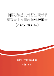 中國磁敏感元件行業現狀調研及未來發展趨勢分析報告（2025-2031年）