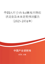 中國大尺寸tft-lcd面板市場現狀調查及未來走勢預測報告（2024-2030年）