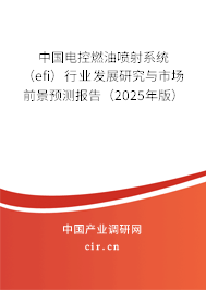 中國電控燃油噴射系統（efi）行業發展研究與市場前景預測報告（2025年版）