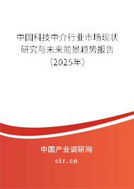 中國科技中介行業市場現狀研究與未來前景趨勢報告（2025年）