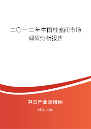 二〇一二年中國柱塞閥市場調研分析報告