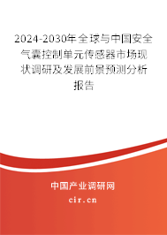 2024-2030年全球與中國安全氣囊控制單元傳感器市場現狀調研及發展前景預測分析報告