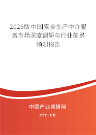 2024版中國安全生產(chǎn)中介服務(wù)市場深度調(diào)研與行業(yè)前景預(yù)測報告