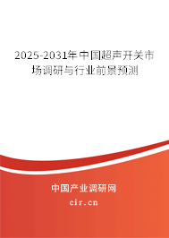 2025-2031年中國(guó)超聲開關(guān)市場(chǎng)調(diào)研與行業(yè)前景預(yù)測(cè)