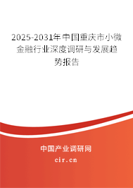 2025-2031年中國重慶市小微金融行業深度調研與發展趨勢報告