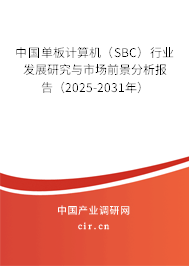 中國單板計算機（SBC）行業發展研究與市場前景分析報告（2025-2031年）