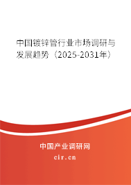 中國鍍鋅管行業市場調研與發展趨勢（2025-2031年）