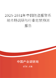 2025-2031年中國防盜報警系統市場調研與行業前景預測報告