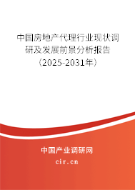 中國房地產代理行業現狀調研及發展前景分析報告（2025-2031年）