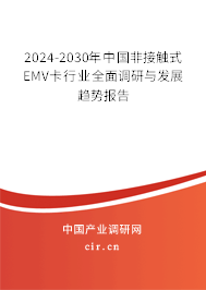2024-2030年中國非接觸式EMV卡行業全面調研與發展趨勢報告