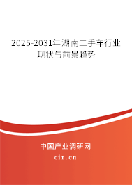 2025-2031年湖南二手車行業(yè)現(xiàn)狀與前景趨勢