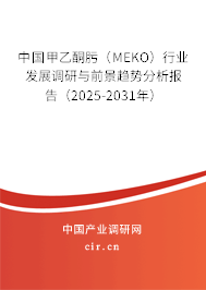 中國甲乙酮肟（MEKO）行業發展調研與前景趨勢分析報告（2025-2031年）
