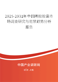 2024-2030年中國明膠膠囊市場調查研究與前景趨勢分析報告