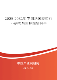 2024-2030年中國納米膠帶行業研究與市場前景報告