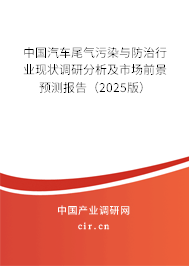 中國汽車尾氣污染與防治行業現狀調研分析及市場前景預測報告（2025版）