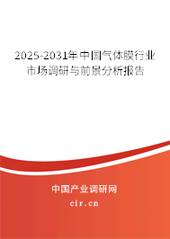 2025-2031年中國氣體膜行業市場調研與前景分析報告