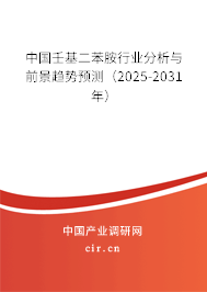 中國壬基二苯胺行業分析與前景趨勢預測（2025-2031年）