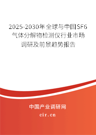 2025-2030年全球與中國SF6氣體分解物檢測儀行業市場調研及前景趨勢報告