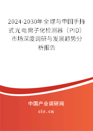 2024-2030年全球與中國手持式光電離子化檢測器（PID）市場深度調研與發展趨勢分析報告