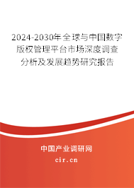 2024-2030年全球與中國數字版權管理平臺市場深度調查分析及發展趨勢研究報告