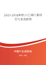 2025-2031年四川乙烯行業(yè)研究與發(fā)展趨勢(shì)