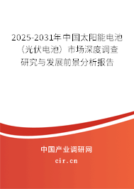 2025-2031年中國太陽能電池（光伏電池）市場深度調查研究與發展前景分析報告