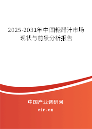 2025-2031年中國糖醋汁市場(chǎng)現(xiàn)狀與前景分析報(bào)告