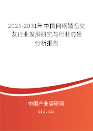 2025-2031年中國網絡婚戀交友行業發展研究與行業前景分析報告
