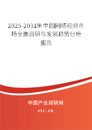 2025-2031年中國網絡視頻市場全面調研與發展趨勢分析報告