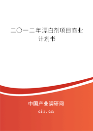 二〇一二年漂白劑項目商業計劃書