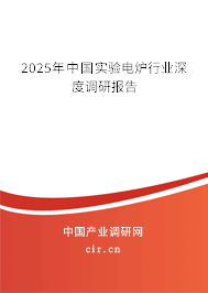 2025年中國實(shí)驗(yàn)電爐行業(yè)深度調(diào)研報(bào)告