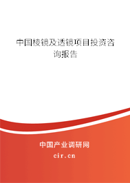 中國棱鏡及透鏡項目投資咨詢報告