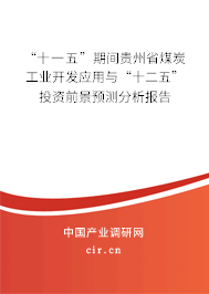 “十一五”期間貴州省煤炭工業開發應用與“十二五”投資前景預測分析報告