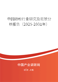 中國腸粉行業研究及前景分析報告（2025-2031年）