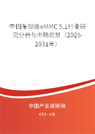 中國車規級eMMC 5.1行業研究分析與市場前景（2025-2031年）
