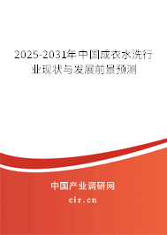 2025-2031年中國成衣水洗行業現狀與發展前景預測