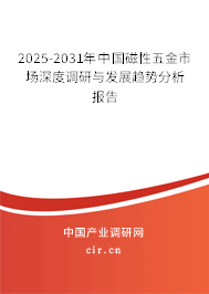 2025-2031年中國磁性五金市場深度調研與發展趨勢分析報告