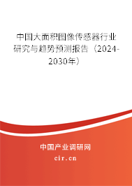 中國大面積圖像傳感器行業研究與趨勢預測報告（2024-2030年）
