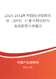 2025-2031年中國電池管理系統（BMS）行業市場調研與發展趨勢分析報告