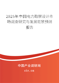 2025年中國(guó)電力勘察設(shè)計(jì)市場(chǎng)調(diào)查研究與發(fā)展前景預(yù)測(cè)報(bào)告